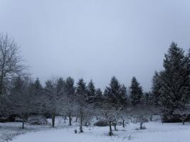 Helvetia Winter Scenes