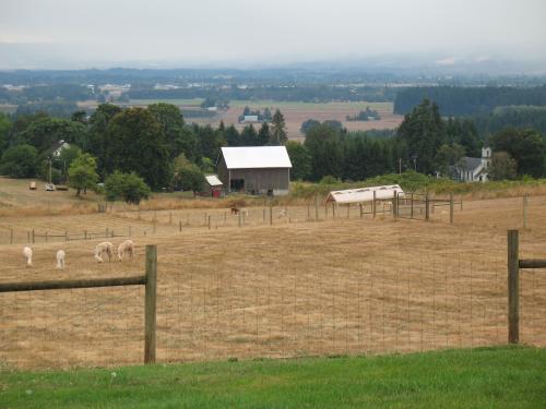 The view from Accoyo Norte at Pacific Crest Alpacas